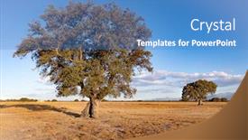  Presentation with oak - PPT layouts featuring spanish-meadow-in-summer background and a teal colored foreground