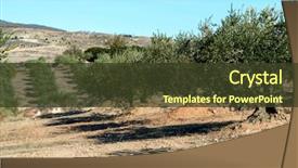  Presentation with olive grove - Amazing presentation theme having spanish olive grove olive's backdrop and a tawny brown colored foreground