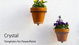  Presentation with spanish - Slide deck consisting of spanish wall with beautiful plants andalucia white wall background and a light gray colored foreground