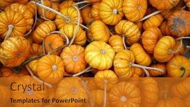  Presentation with thanksgiving - Presentation featuring sparkler-pumpkins-sparkler-pumpkins-piled background and a gold colored foreground