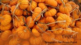  Presentation with thanksgiving - Presentation design enhanced with sparkler-pumpkins-sparkler-pumpkins-piled background and a crimson colored foreground