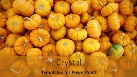  Presentation with thanksgiving - Presentation design enhanced with sparkler-pumpkins-sparkler-pumpkins-piled background and a gold colored foreground