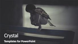  Presentation with bird sparrow - PPT theme featuring sparrow man male body figure background and a dark gray colored foreground