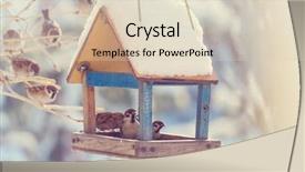  Presentation with bird sparrow - PPT theme featuring sparrows - bird sparrow feeding trough background and a lemonade colored foreground