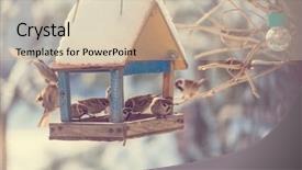  Presentation with bird sparrow - Cool new theme with sparrows - bird sparrow feeding trough backdrop and a soft green colored foreground