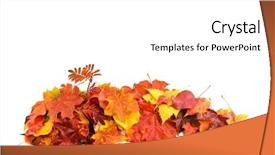  Presentation with banana stem tree and leaf - Colorful PPT layouts enhanced with spase - colorful autumn maple leaves backdrop and a  colored foreground