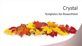  Presentation with multicolored autumn leaves orange yellow red - Presentation featuring spase - group of colorful autumn leaves background and a  colored foreground