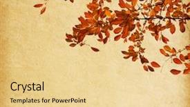  Presentation with old paper - Amazing slide deck having spase - old paper with branch backdrop and a blonde colored foreground