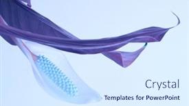  Presentation with bud - Presentation theme consisting of spathiphyllum-flower-bud-with-green background and a sky blue colored foreground