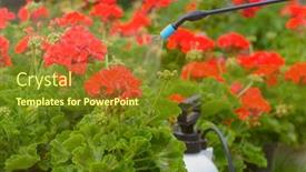  Presentation with pesticides - Presentation design consisting of spaying-flowers-in-the-garden background and a tawny brown colored foreground