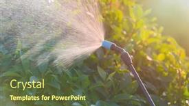  Presentation with pesticides - Colorful presentation design enhanced with spaying-flowers-in-the-garden backdrop and a tawny brown colored foreground