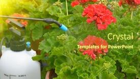  Presentation with pesticides - Audience pleasing theme consisting of spaying-flowers-in-the-garden backdrop and a tawny brown colored foreground