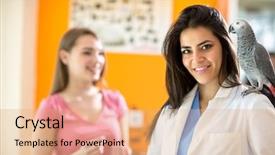  Presentation with veterinary - Amazing theme having speak easy - veterinarian with african gray parrot backdrop and a coral colored foreground