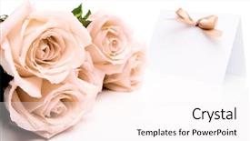  Presentation with special invitation - Amazing presentation theme having special accasions - roses shot closeup and blank backdrop and a sky blue colored foreground