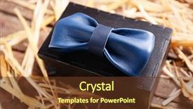  Presentation with fixing his black bow tie - Beautiful slide set featuring specialformal - blue leather bow tie backdrop and a  colored foreground