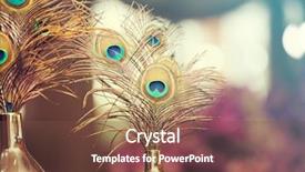  Presentation with peacock feather - Slide set featuring specialformal - special arrangement with peacock feather background and a tawny brown colored foreground