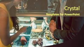  Presentation with snack gluten free food various - Amazing PPT theme having specialty food - skilled chef showing and recommending backdrop and a tawny brown colored foreground