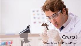  Presentation with bourbon st new orleans - Colorful PPT layouts enhanced with specimen collection - scientist entomologist studying new butterfly backdrop and a lemonade colored foreground