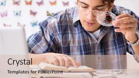  Presentation with new born follow up - Cool new presentation theme with specimen collection - student entomologist studying new species backdrop and a lemonade colored foreground