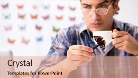  Presentation with butterflies - Slides having specimen collection - student entomologist studying new species background and a coral colored foreground