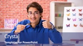  Presentation with butterflies - PPT theme having specimen collection - student entomologist studying new species background and a navy blue colored foreground