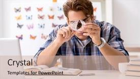  Presentation with new era - Presentation theme featuring specimen collection - student entomologist studying new species background and a soft green colored foreground