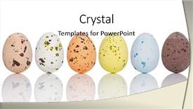  Presentation with speckles - Presentation design consisting of speckles - six candy coated chocolate easter background and a white colored foreground