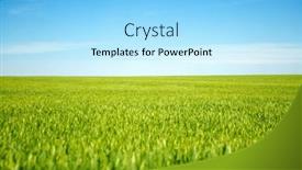  Presentation with agrarian - Presentation theme featuring spectacular-green-field-and-perfect background and a arctic colored foreground