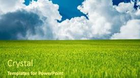  Presentation with agrarian - Presentation enhanced with spectacular-green-field-and-perfect background and a tawny brown colored foreground