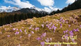  Presentation with spectacular - PPT theme featuring spectacular-meadows-are-covered-violet background and a tawny brown colored foreground