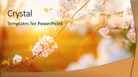  Presentation with earth day - Beautiful theme featuring spectacular ornamental garden with blooming backdrop and a lemonade colored foreground