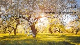  Presentation with earth day - Slide set consisting of spectacular-ornamental-garden-with-blooming background and a coral colored foreground