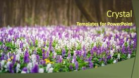  Presentation with spectacular - PPT layouts featuring spectacular-spring-glade-in-forest background and a tawny brown colored foreground