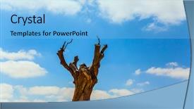  Presentation with spectacular - Slide set enhanced with spectacular stump in the desert background and a light blue colored foreground