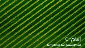  Presentation with agrarian - Amazing slide deck having spectacular-top-view-of-row backdrop and a forest green colored foreground