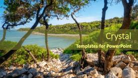  Presentation with spectacular - Presentation theme featuring spectacular-view-of-the-tropical background and a tawny brown colored foreground