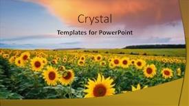  Presentation with earth land - PPT layouts with spectacular-view-with-bright-yellow background and a coral colored foreground