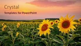  Presentation with earth land - Presentation theme consisting of spectacular-view-with-bright-yellow background and a coral colored foreground