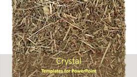  Presentation with herb - Presentation having speedwell-herb-leaf-used background and a tawny brown colored foreground