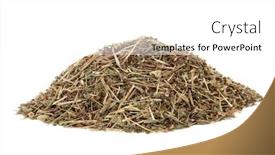  Presentation with herb - Cool new PPT theme with speedwell-herb-leaf-used backdrop and a white colored foreground