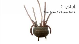  Presentation with afro caribbean - PPT layouts having spell-pot-palo-mayombe background and a white colored foreground