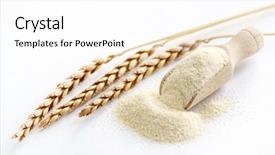 Presentation with bowl - Colorful PPT layouts enhanced with spelt - raw unprepared semolina in bowl backdrop and a white colored foreground