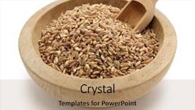  Presentation with primitive - PPT theme having spelt farro primitive wheat isolated background and a coral colored foreground
