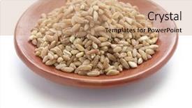  Presentation with primitive - Audience pleasing presentation theme consisting of spelt farro primitive wheat backdrop and a coral colored foreground