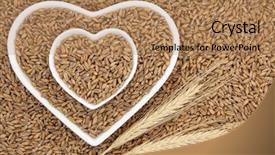  Presentation with abstract health - PPT layouts featuring spelt grain health food background and a  colored foreground