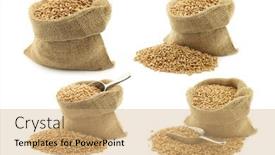  Presentation with bag - Presentation theme consisting of spelt-in-a-burlap-bag background and a coral colored foreground