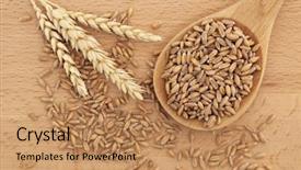  Presentation with lilac flowers bunch over wood - Presentation design featuring spelt wheat in a wooden background and a  colored foreground