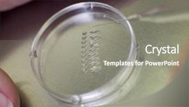  Presentation with sperm - Amazing presentation theme having sperm analysis - petri dish with fertilized eggs backdrop and a gray colored foreground