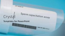  Presentation with sperm - Presentation featuring sperm-capacitation-assay-this-test background and a light blue colored foreground