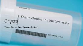  Presentation with sperm - PPT theme featuring sperm-chromatin-structure-assay background and a  colored foreground